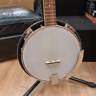 Beaver Creek Left Handed Banjo 2
